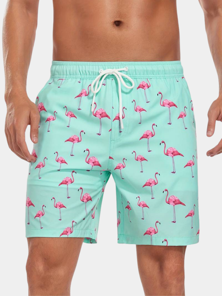 BRYNOUVELLE | SHORTS DE BAIN DE VACANCES POUR HOMMES