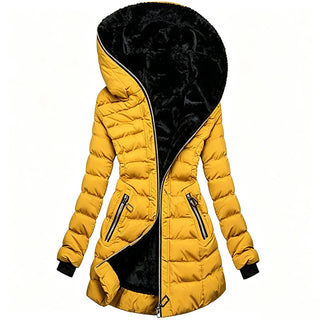 Manteau d&