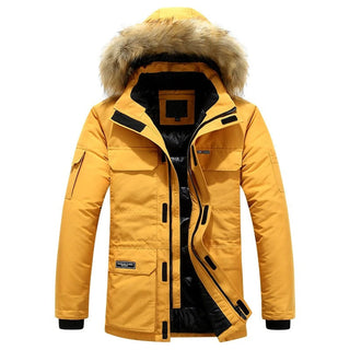 Virgilio | Veste d&